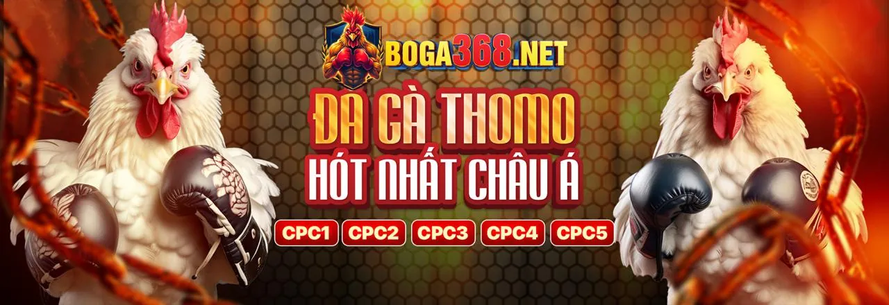 Hình ảnh chính hướng dẫn cá cược thể thao và casino open8802