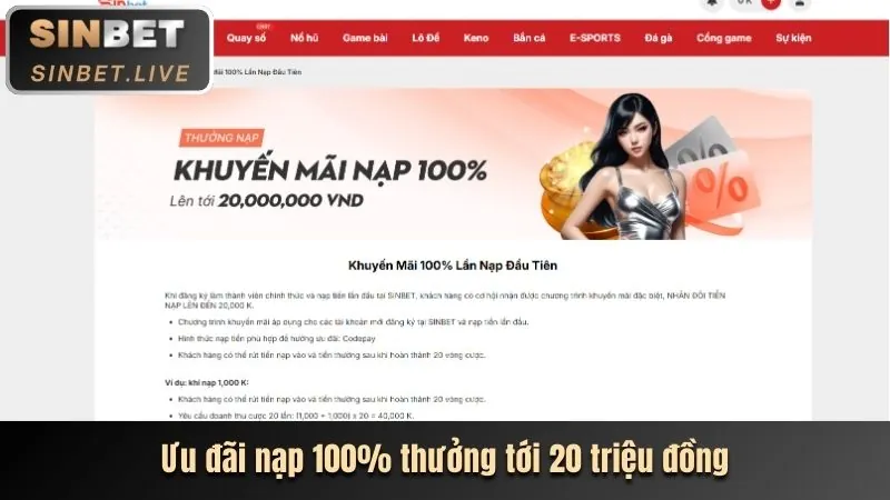 Hoàn Trả Hàng Ngày open8802